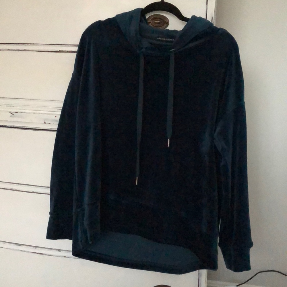 Size L Harlowe & Graham Plush Velvet Hoodie